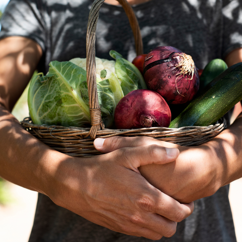 Panier de légumes frais et biologiques, mettant en avant la qualité des ingrédients utilisés à la brasserie Le Cathédrale.